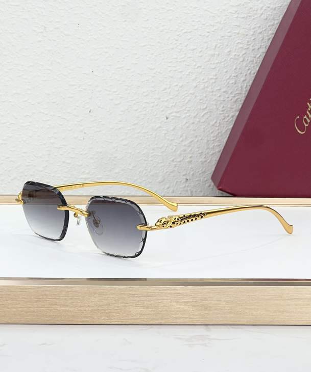 Picture of Cartier Sunglasses _SKUfw79280637fw